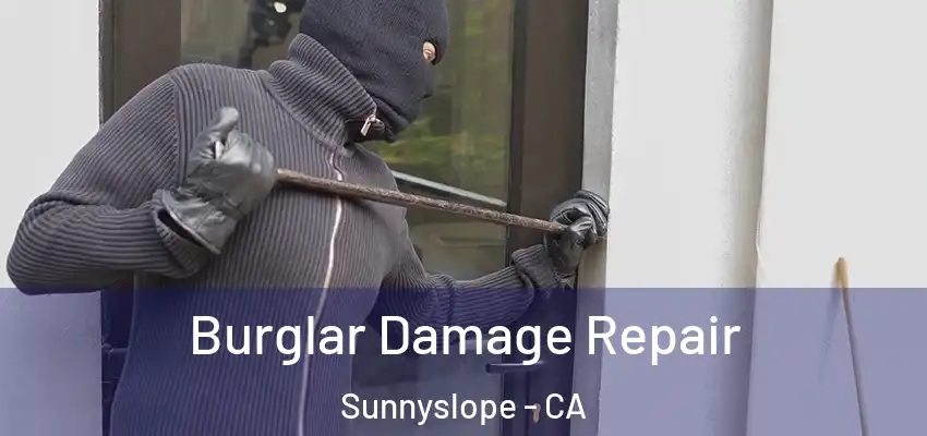  Burglar Damage Repair Sunnyslope - CA