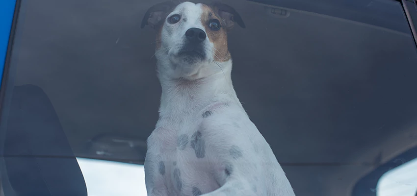 Car Lockout Solutions in Sunnyslope, California