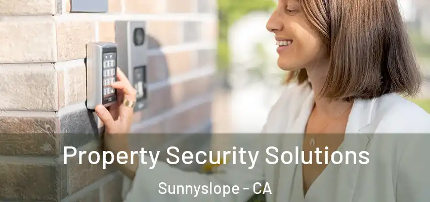  Property Security Solutions Sunnyslope - CA